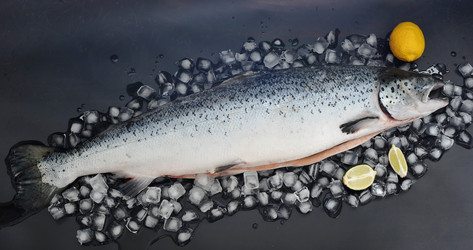 Similar image 11429426