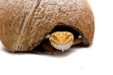 Similar image 11424999