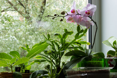 Similar image 11425002