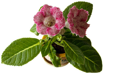 Similar image 11425004