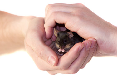 Similar image 11425007