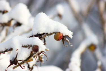 Similar image 11425008