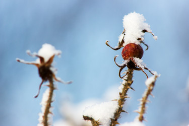 Similar image 11425009