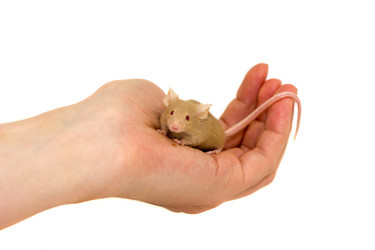 Similar image 11425591