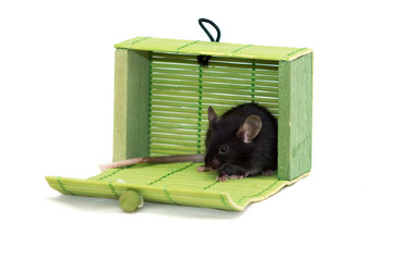 Similar image 11425592