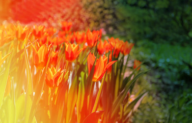 Similar image 11444846