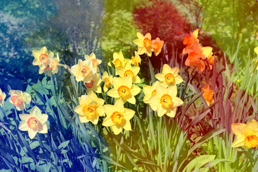 Similar image 11443512