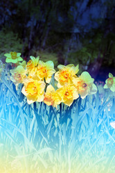 Similar image 11443513