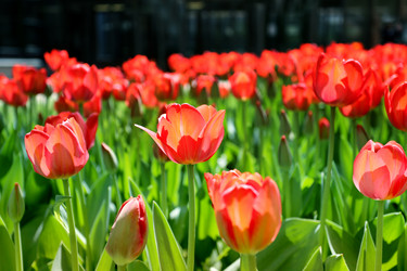 Similar image 11443514