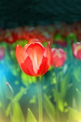 Similar image 11443515