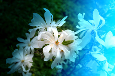 Similar image 11443517