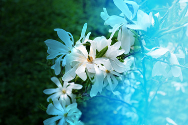 Similar image 11443518