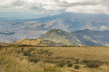 Similar image 11426521