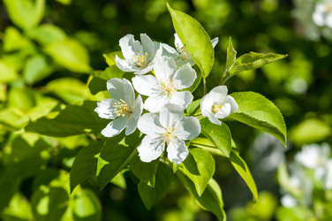 Similar image 11424911