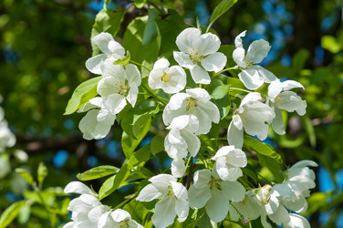 Similar image 11424913