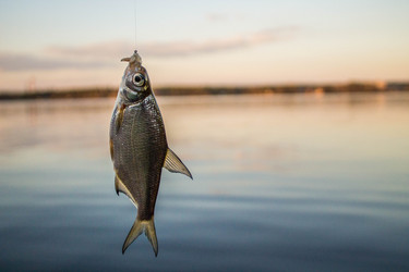 Similar image 11425475