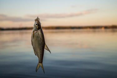 Similar image 11425478