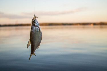 Similar image 11425479