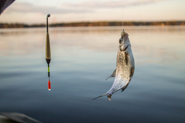 Similar image 11425480