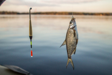 Similar image 11425481