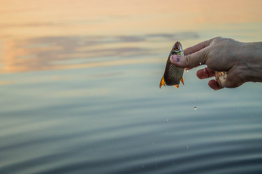 Similar image 11425483