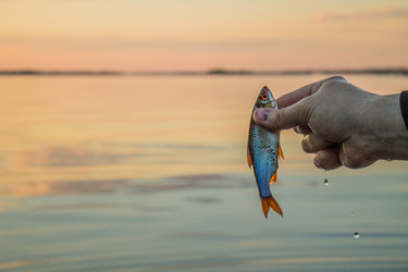 Similar image 11425485