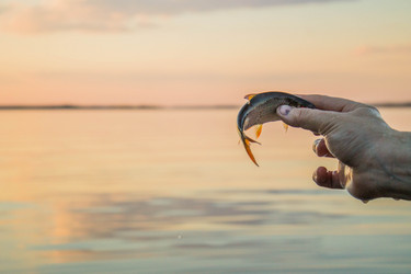 Similar image 11425486