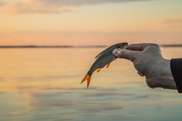 Similar image 11425487