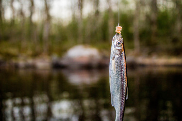 Similar image 11425488