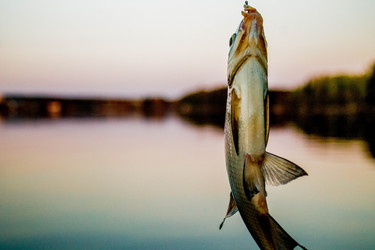 Similar image 11425491