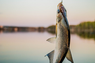 Similar image 11425492