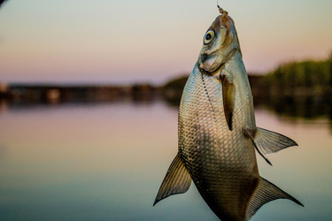 Similar image 11425494