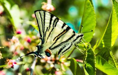 Similar image 11425290