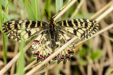 Similar image 11425291