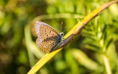 Similar image 11425292