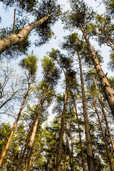 Similar image 11425215