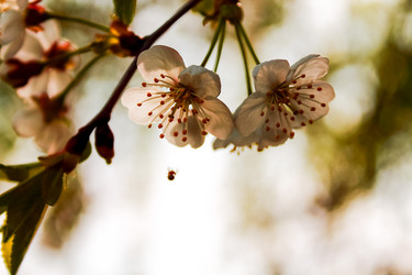 Similar image 11425425