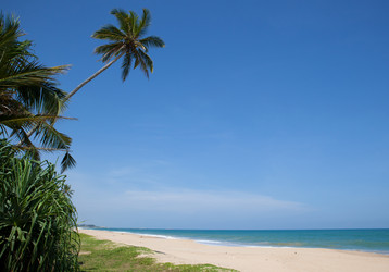 Similar image 11425878