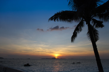 Similar image 11425601