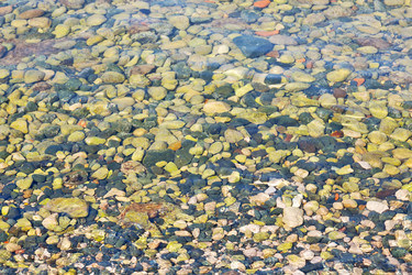 Similar image 11447118