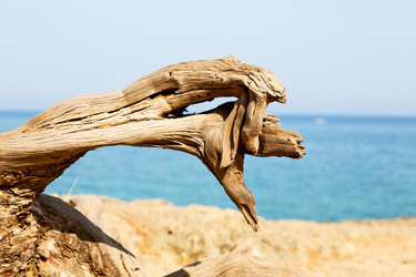 Similar image 11447178