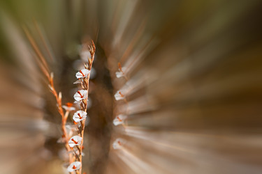 Similar image 11447202