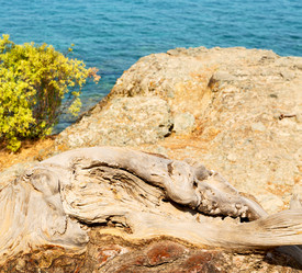 Similar image 11447221