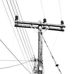 Similar image 11447244