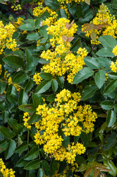 Similar image 11425618