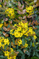 Similar image 11425641