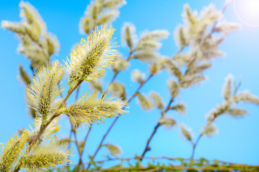 Similar image 11426505