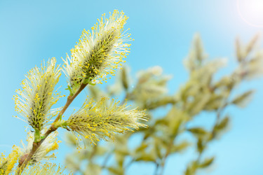 Similar image 11426506