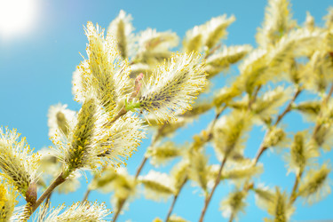 Similar image 11426509