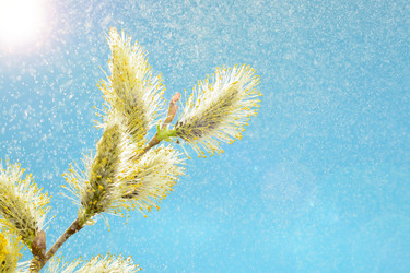 Similar image 11426510